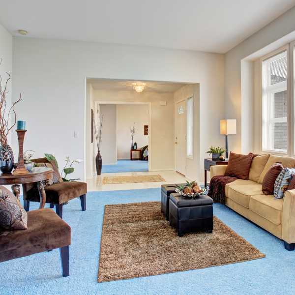 Living room with blue carpeting and brown rug.