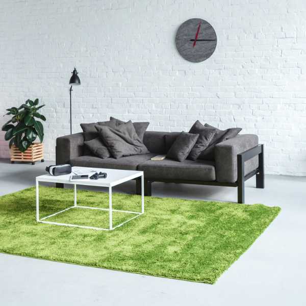 Living room with green rug and gray couch.