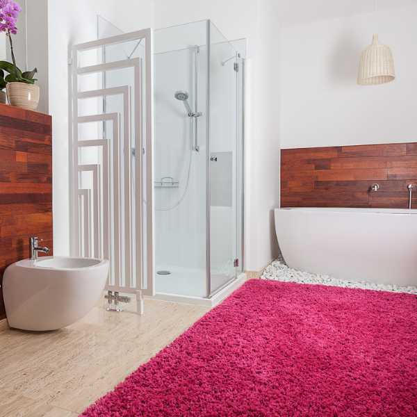 Minimalist bathroom with a red rug