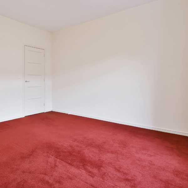 Room with red carpeting.