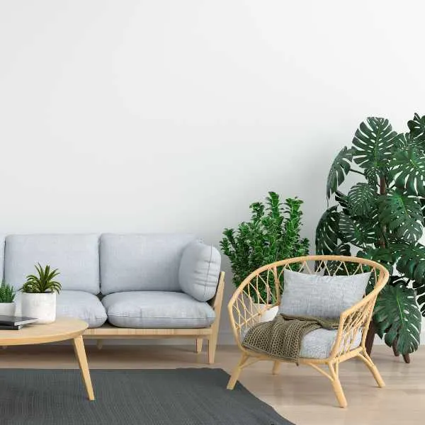Living room with plants.
