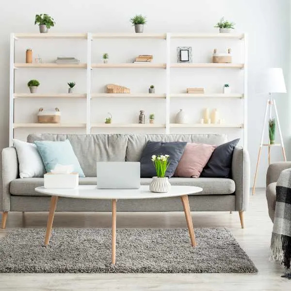 Living room with shelf and couch.