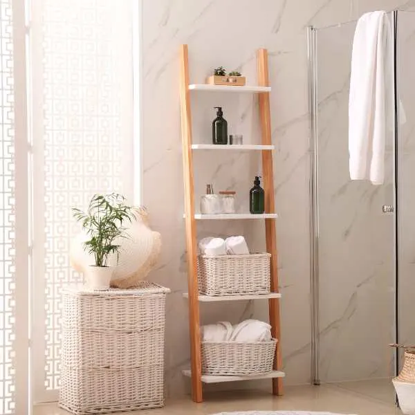 Bathroom with a decorative ladder.