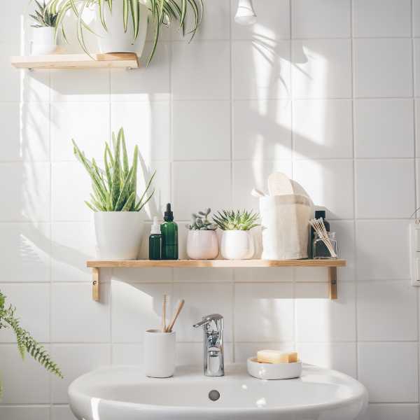 Floating shelves decorated with plants.