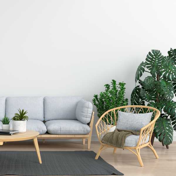Modern room with plants.