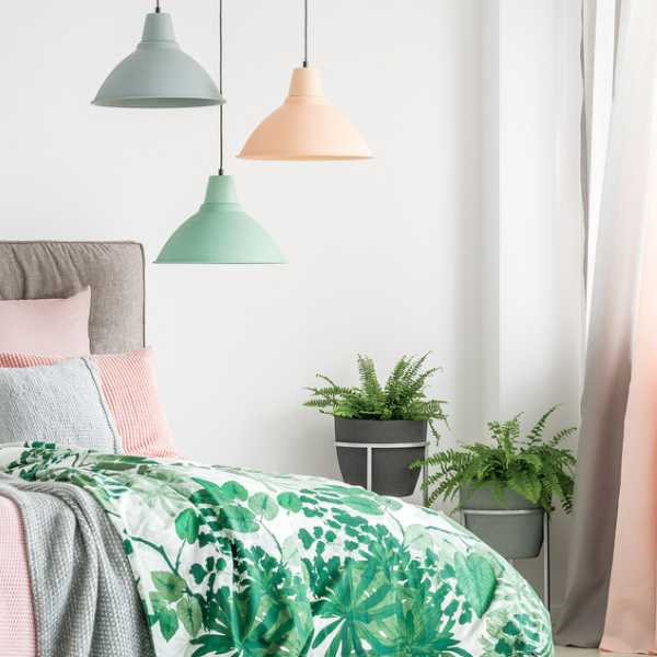 Bed , lamps and potted plants.