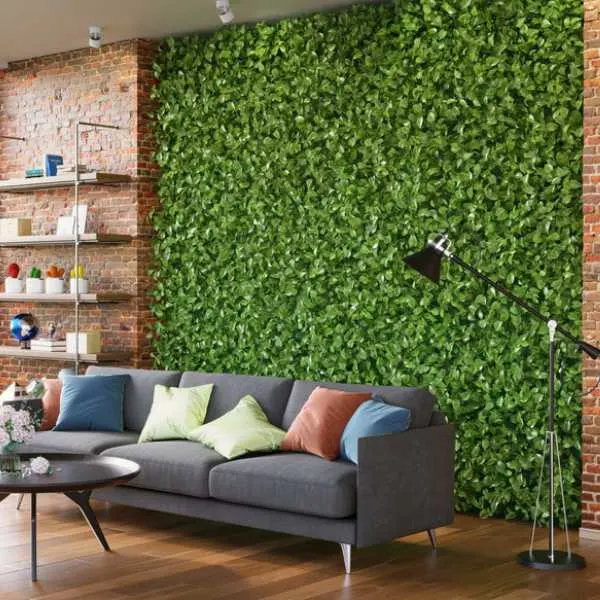 Green wall in living room.