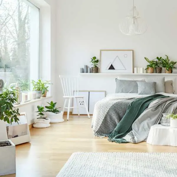 Bedroom with plants.