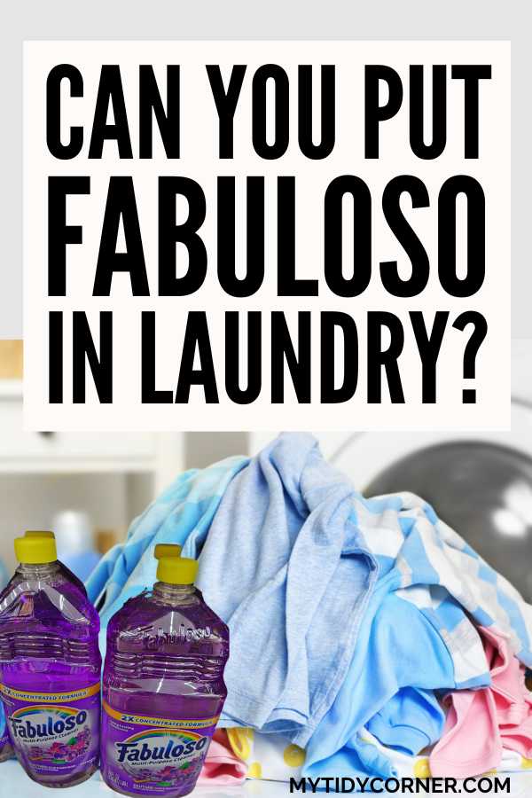 Bottles of Fabuloso, pile of clothes in front of a washing machine and text overlay that says, "Can you put Fabuloso in laundry?".