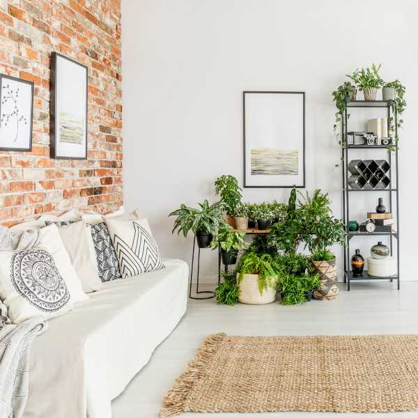Living room with white couch and plants.