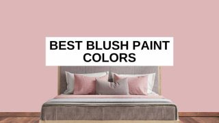 Dusty pink wall, wood floor, pillows on a bed and text overlay that says, 