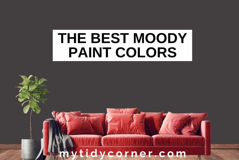Dark brown wall background, plant in a pot, throw blanket and pillows on a red couch, and text overlay that says, "The best moody paint colors".