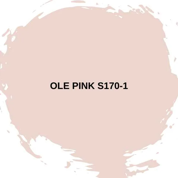 Ole Pink S170-1.