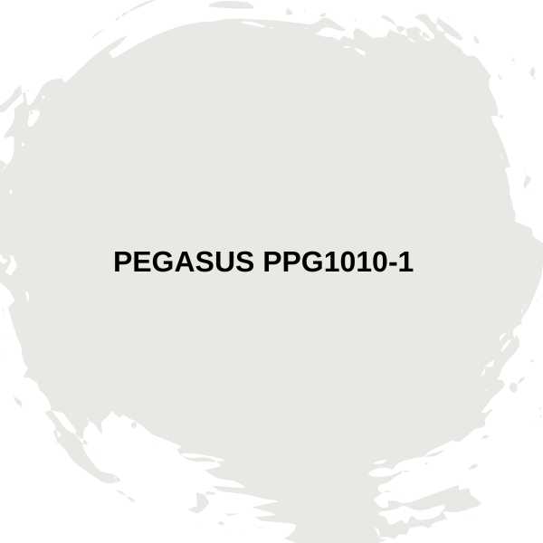 Pegasus PPG1010-1.