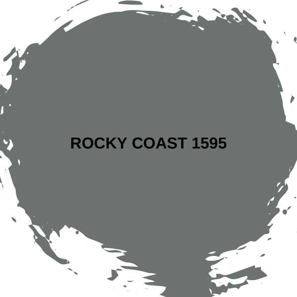 Rocky Coast 1595.