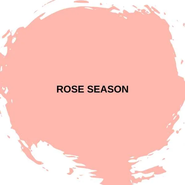 Rose Season by Clare paint.