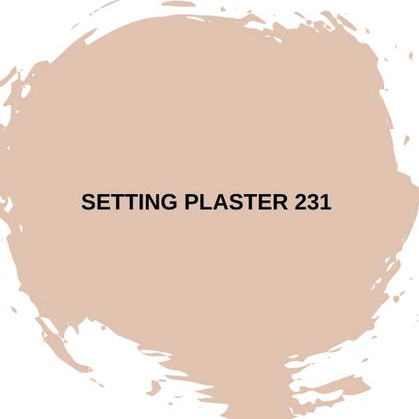 Setting Plaster 231 by Farrow & Ball.
