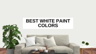 White wall background, wood floor, potted plant, throw pillows on a couch, coffee table, plants on a side table and text overlay that says, 