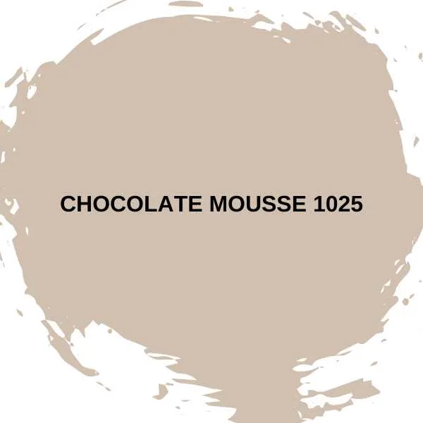 Chocolate Mousse 1025 by Benjamin Moore.