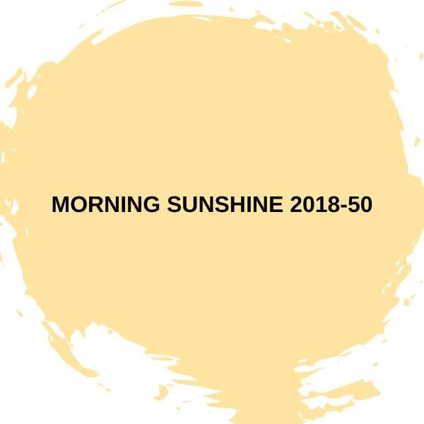 Morning Sunshine 2018-50.