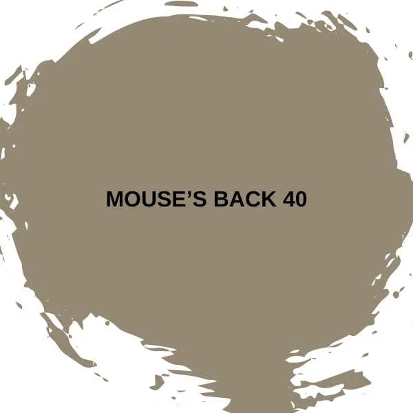 Mouse’s Back 40 by Farrow & Ball.