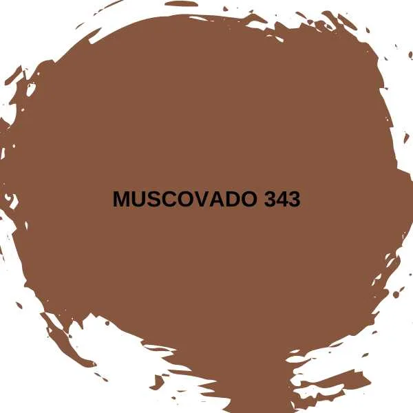 Muscovado 343 by Little Greene.