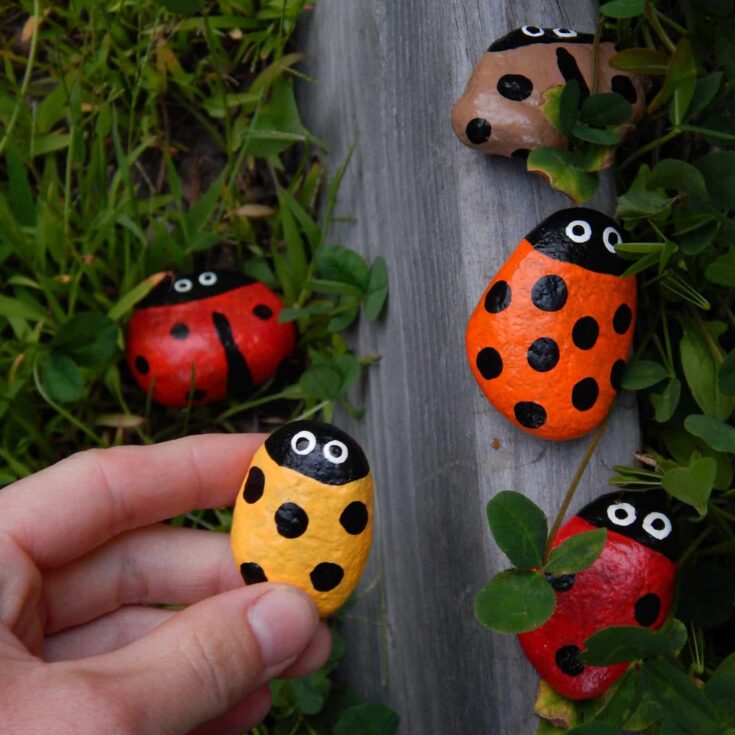 Image for How to Make DIY Ladybug Painted Rocks
