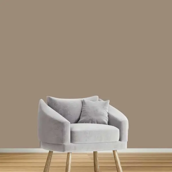 Light gray chair and taupe wall.