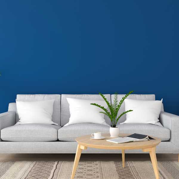 Sapphire wall, gray couch and white pillows.