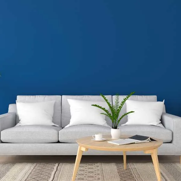 Sapphire wall, gray couch and white pillows.