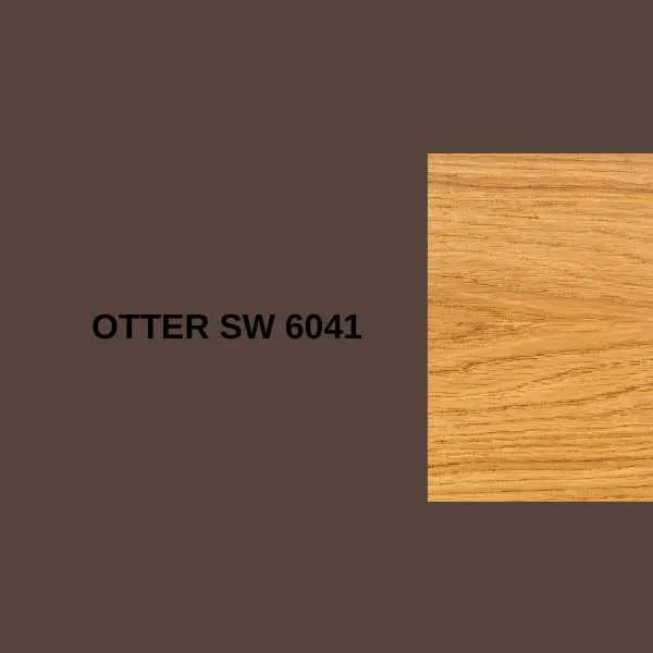 Otter SW 6041.