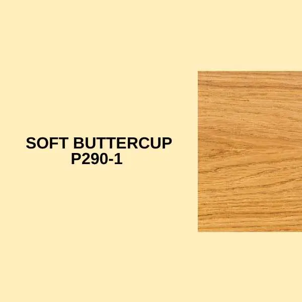 Soft Buttercup P290-1.