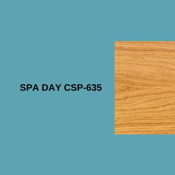 Spa Day CSP-635.