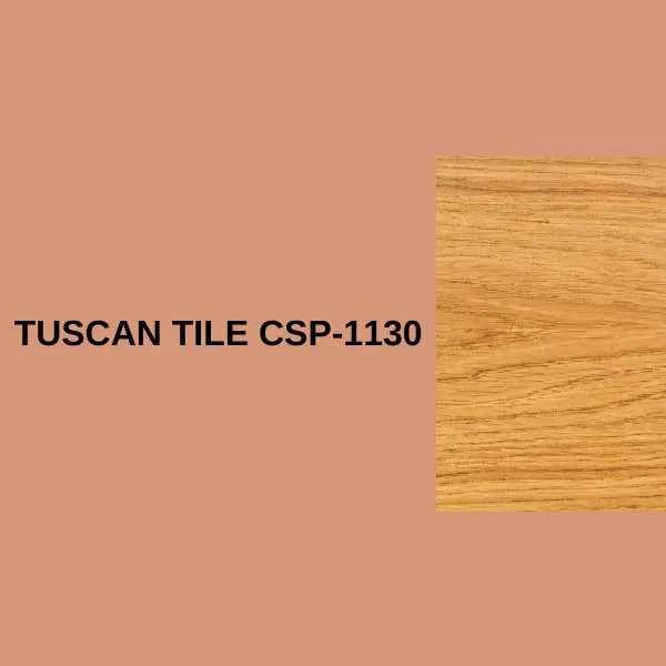 Tuscan Tile CSP-1130.