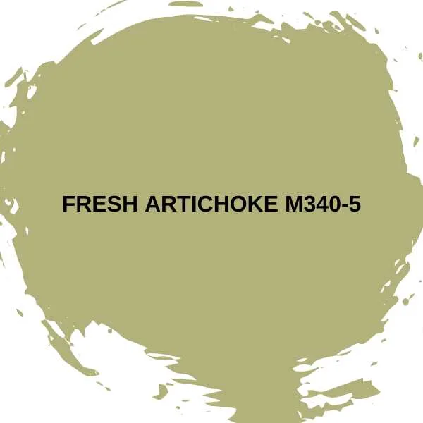 Fresh Artichoke M340-5.