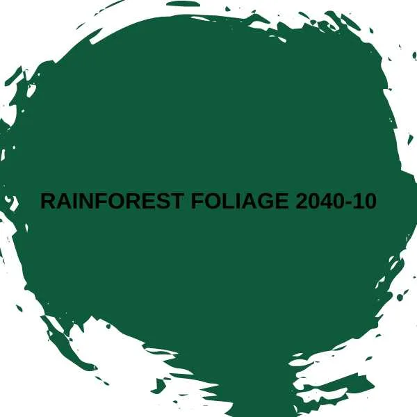 Rainforest Foliage 2040-10.