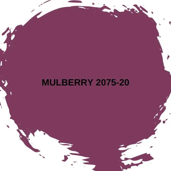 Mulberry 2075-20.
