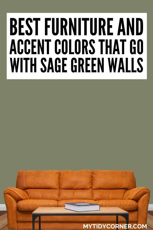 Burnt orange couch, sage green background and text overlay that says, "Best furniture and accent colors for sage green walls".