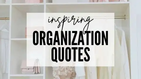 Organization quotes