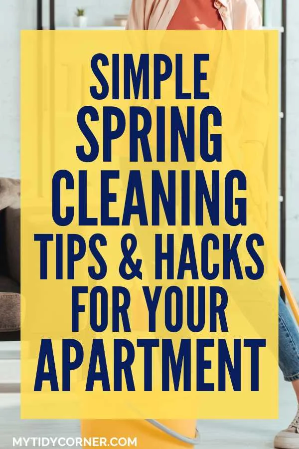 Spring cleaning your apartment pin