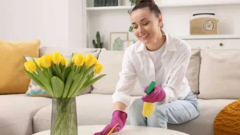 30 day spring cleaning challenge featured image