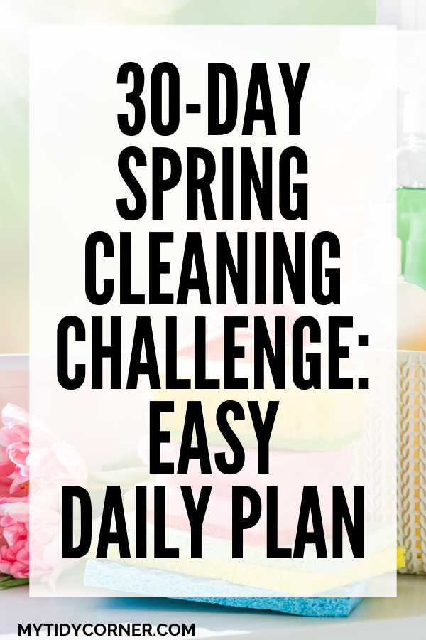 30 Day Spring Cleaning Challenge - Easy Daily Plan
