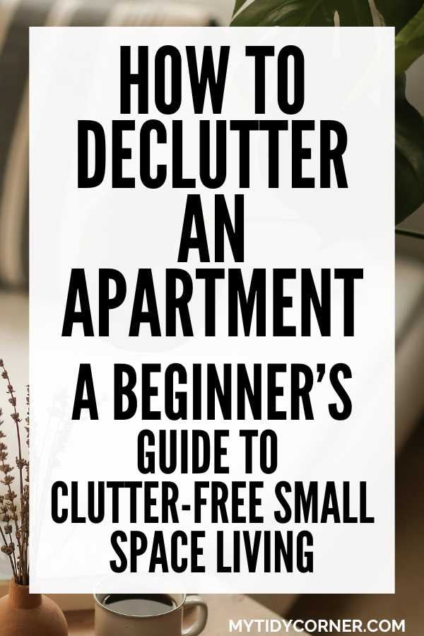 How to declutter and apartment beginners guide pin