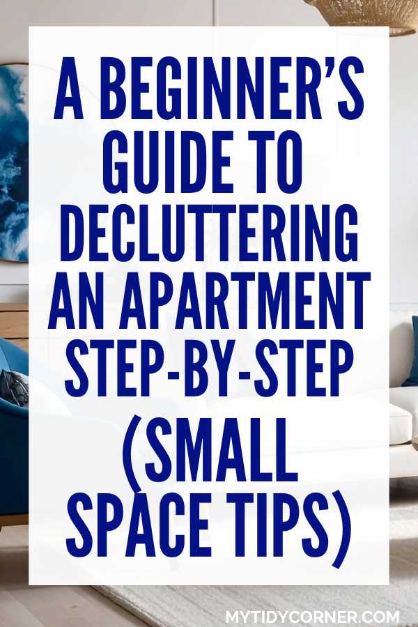 How to declutter and apartment beginners guide pin